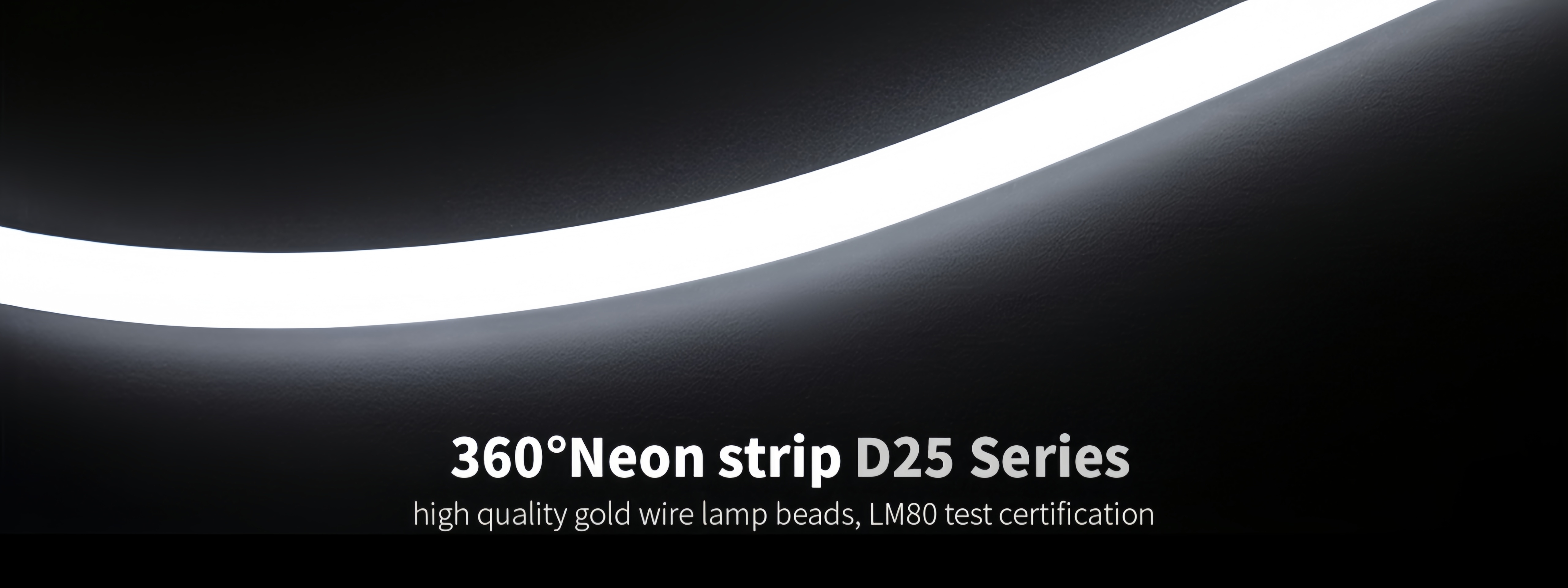 Quality Neon Strip Light factory